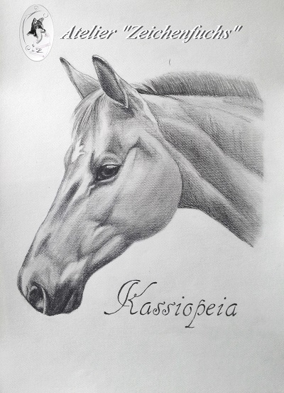 kassiopeia-pferd-logo